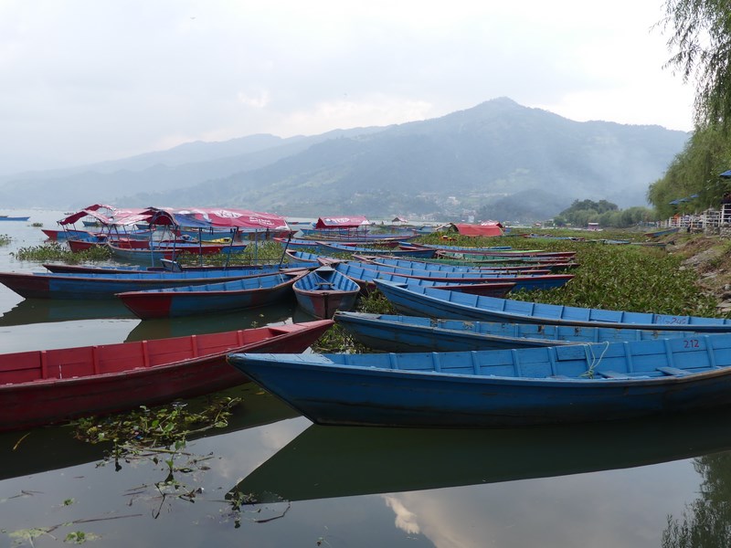 Barci pe lacul Phewa