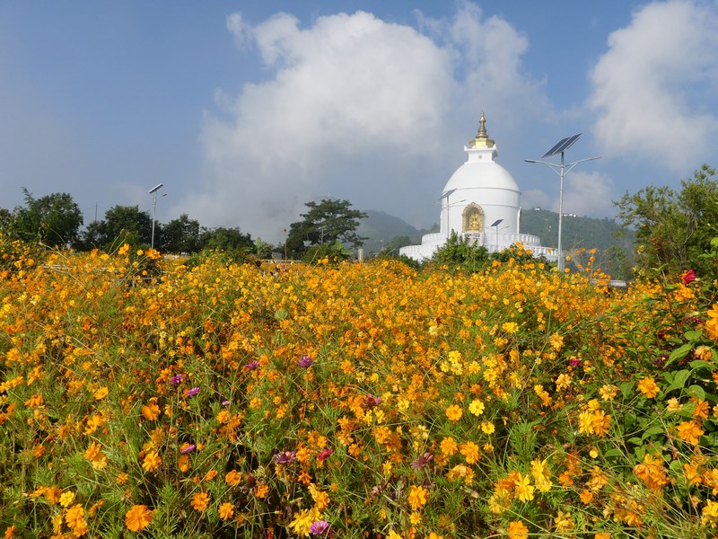 World Peace Stupa