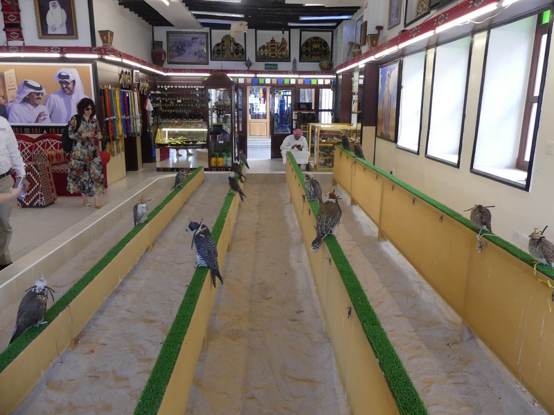 Piata de soimi