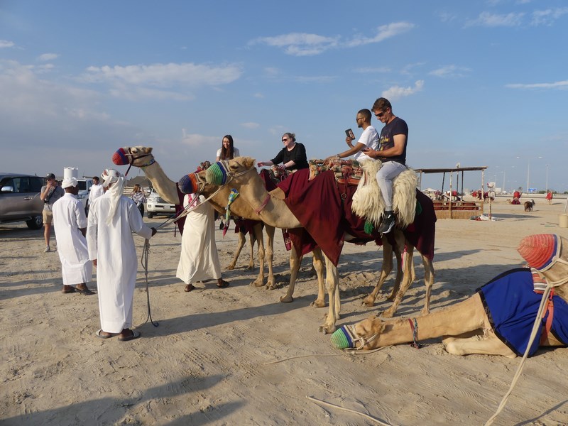 Camile in Qatar
