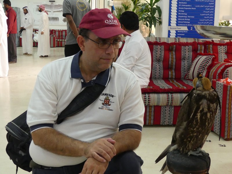 Spitalul de soimi Doha