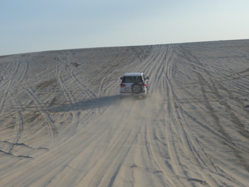 Desert safari