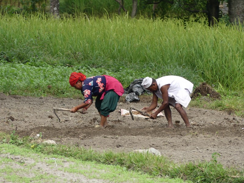 Agricultura Nepal