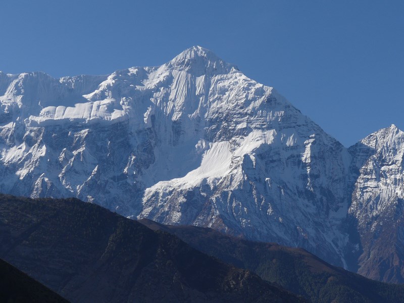 Nilgiri