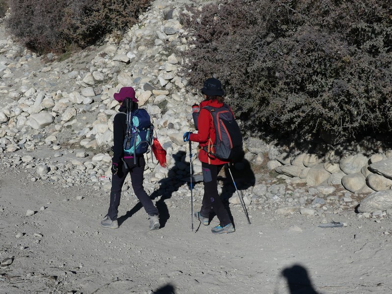 Trekking Mustang