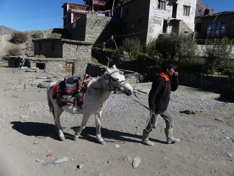 Cal Muktinath