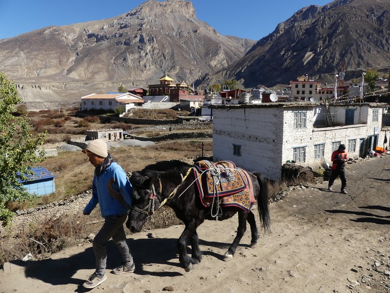 Muktinath