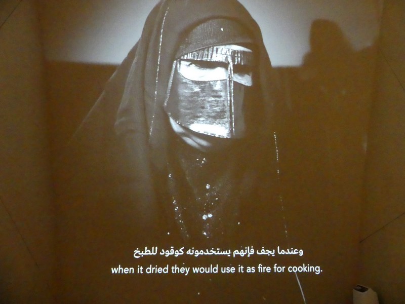 Despre Qatar