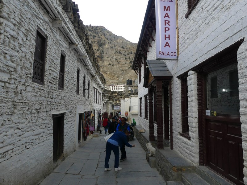 Marpha Mustang