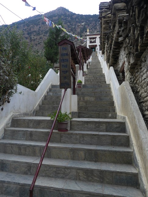 scari Marpha