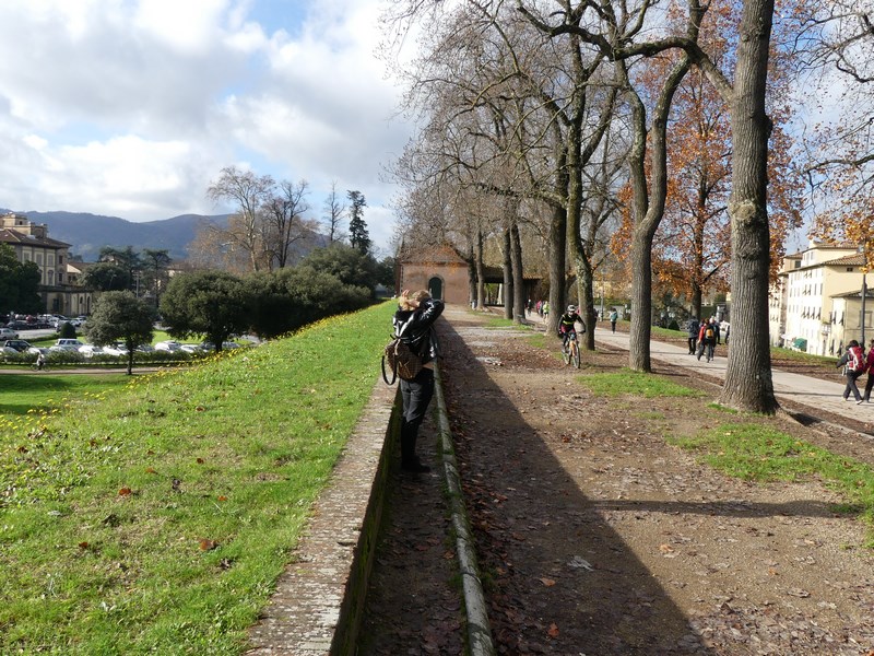 Ziduri Lucca