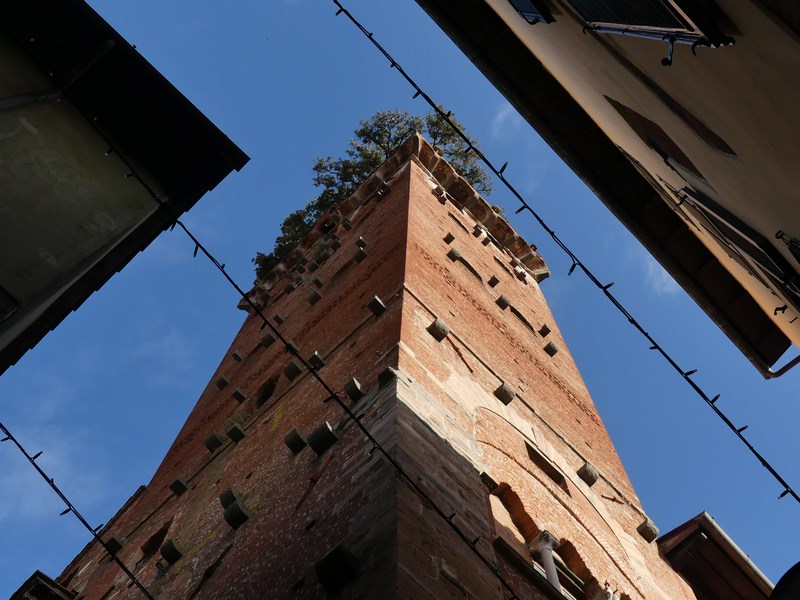 Guinigi Lucca