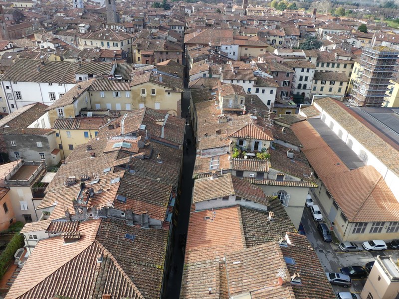 Panorama Lucca