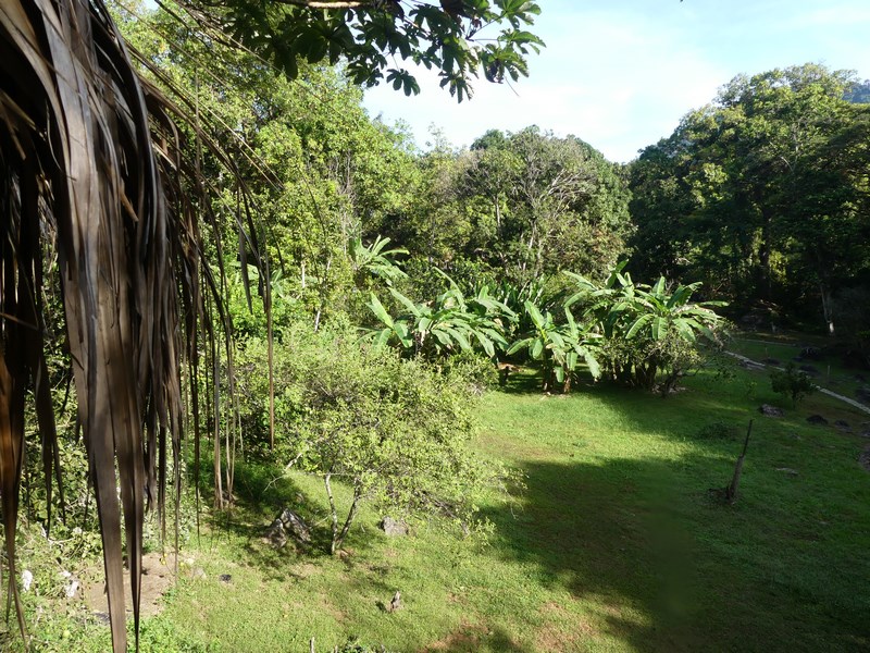 Rio Elemento