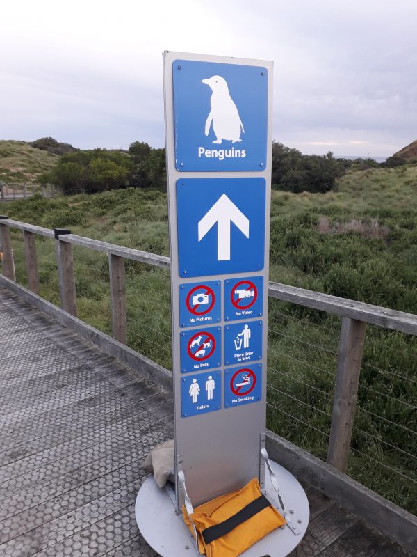 In drum spre pinguini
