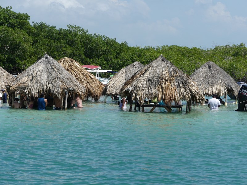 Cholon