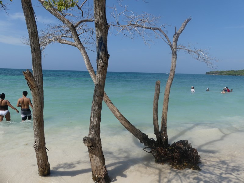 Agua Azul Rosario