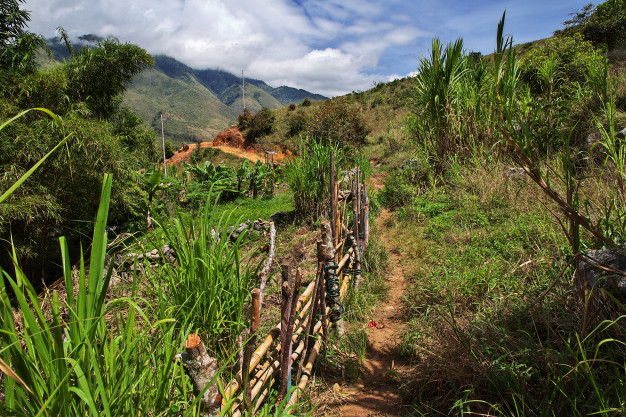 Trekking Papua