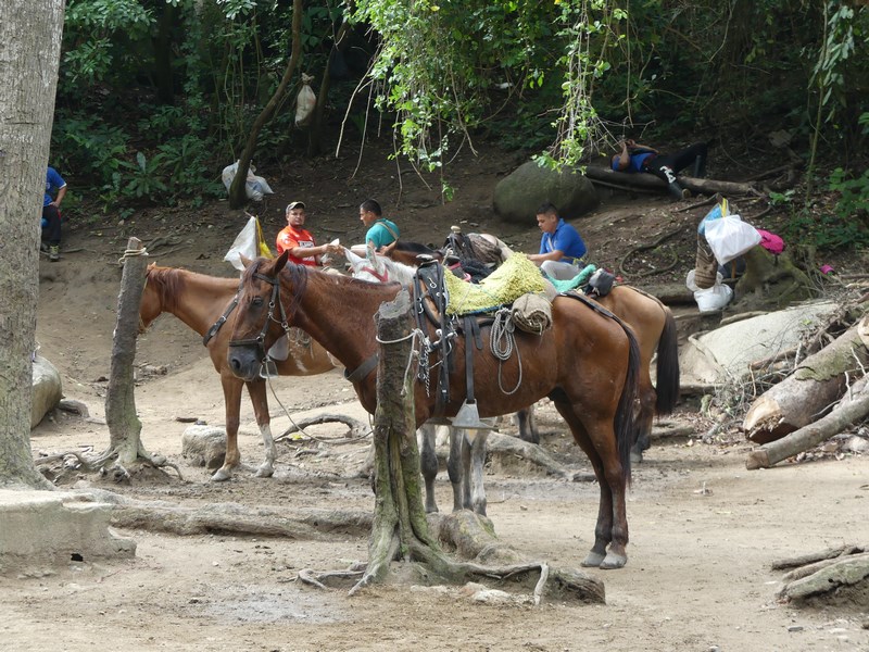 Cai Tayrona