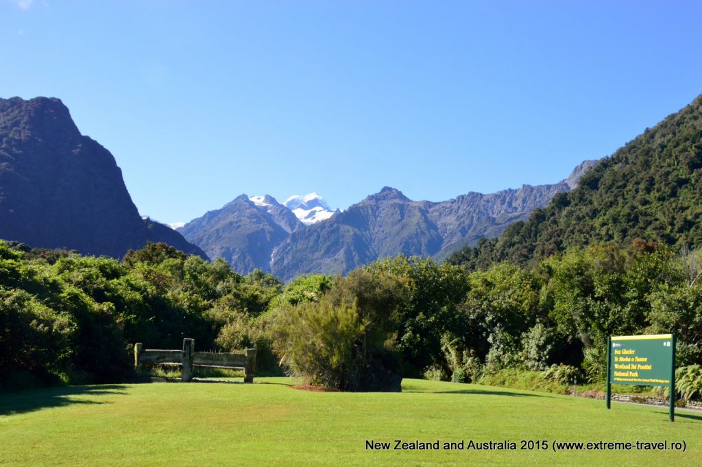 Fox Glacier
