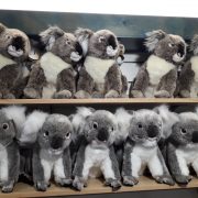 Koala Shop