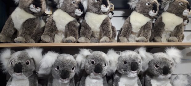Koala Shop