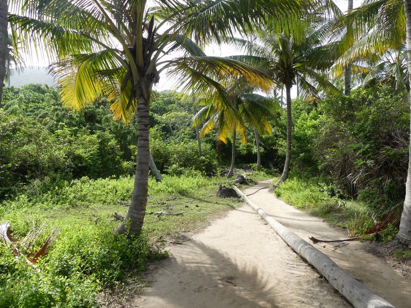 Tayrona trek