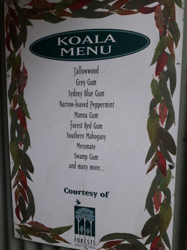 Koala menu