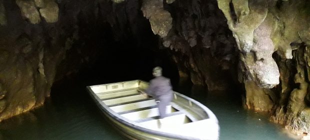 . pesterile cu licurici