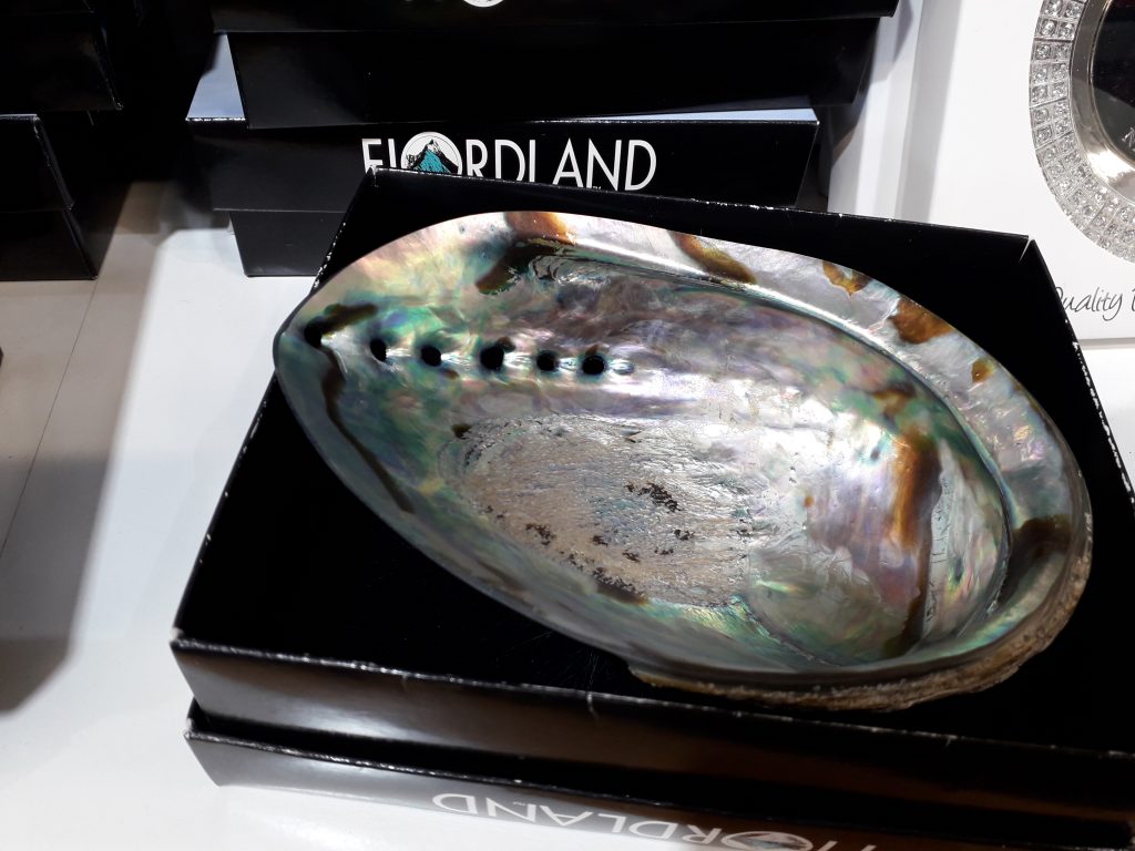 Scoica paua