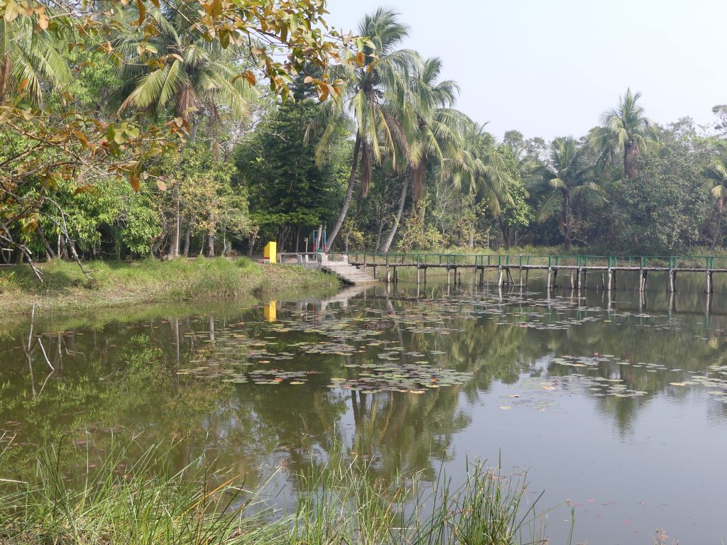 Sundarbans