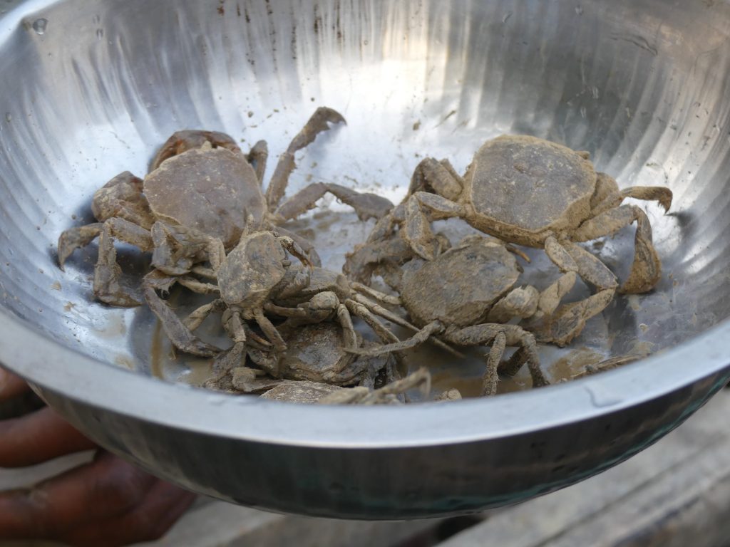Crabi