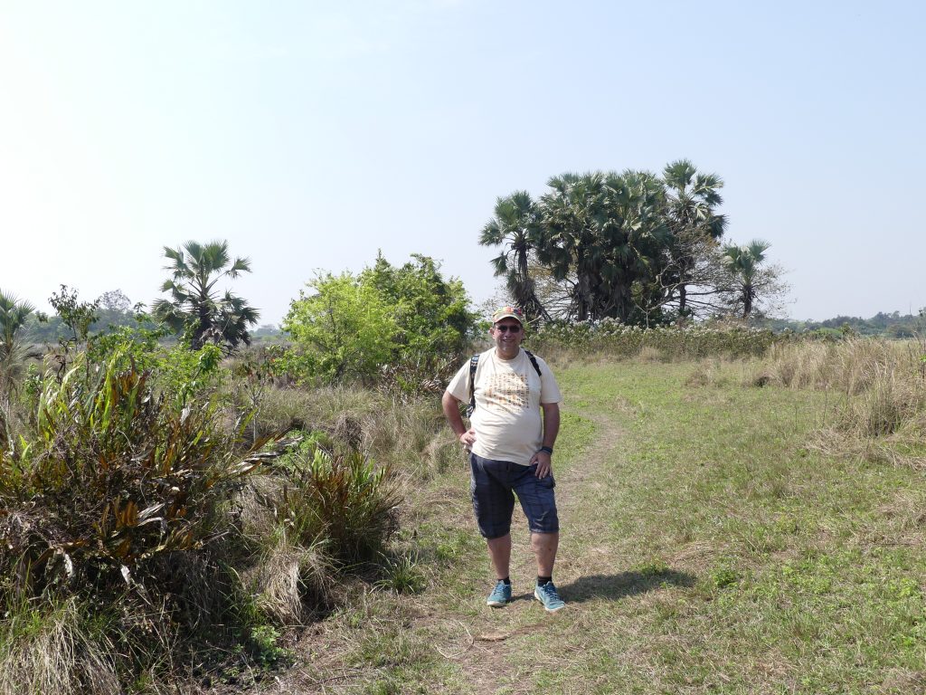 Trekking in Sundarbans