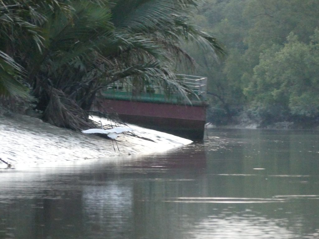 Sundarbans