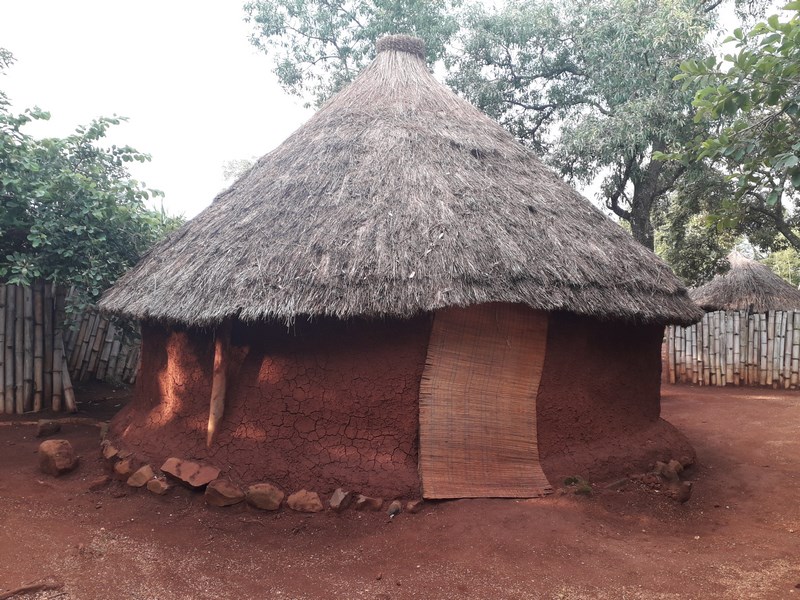 Tribul shangana