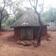 la tribul shangana Copy