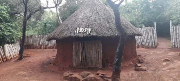 la tribul shangana Copy