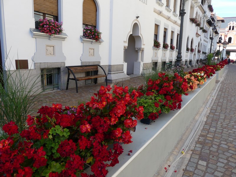 Strada cu flori