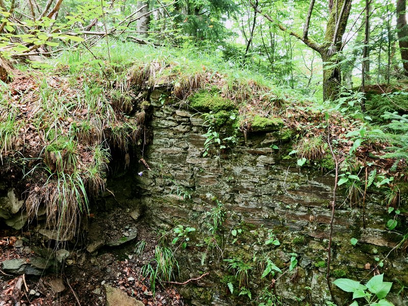 Cetatea Breaza