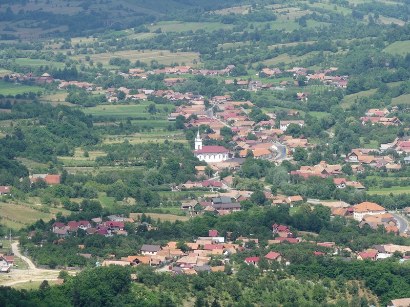 Sinca Noua