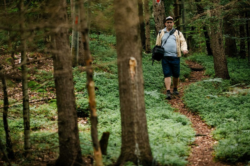 Trekking Fagaras