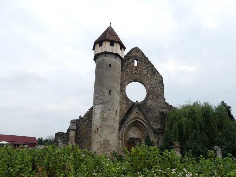 Ruine manastirea Carta