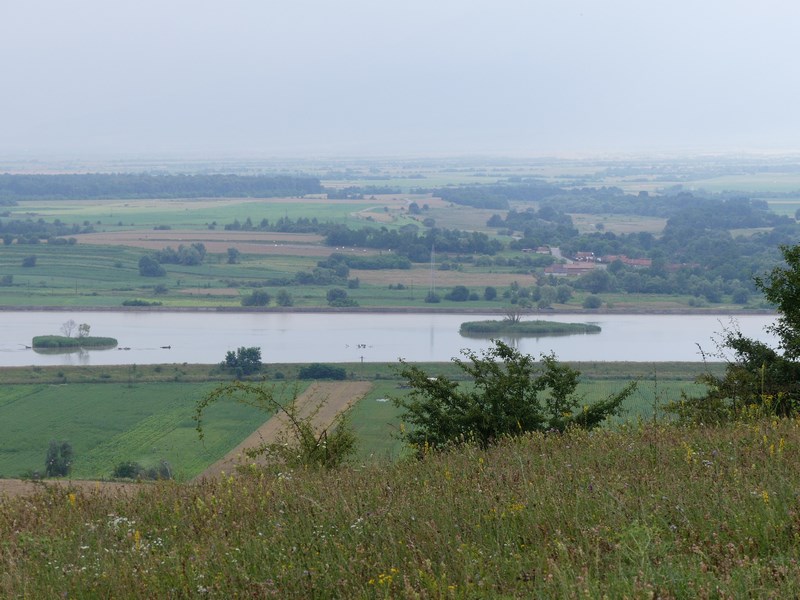 Tara Fagarasului