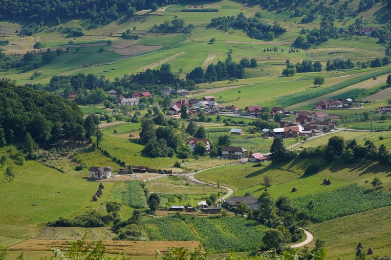 Rosia Bihor