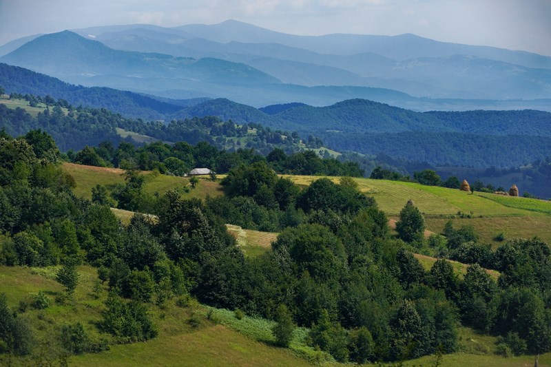 Apuseni inclusiv vf. Bihor imagine din Runcuri