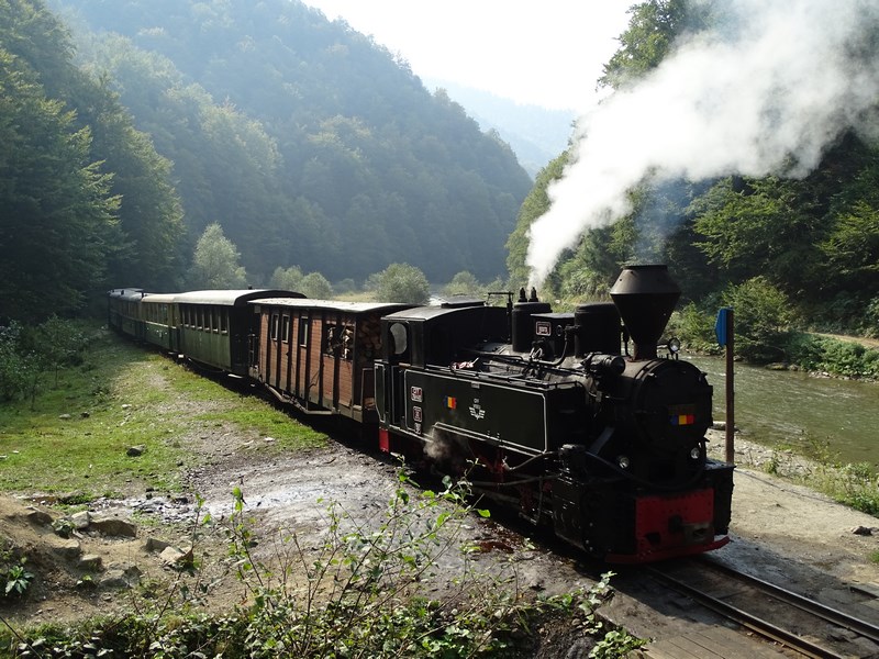 Maramures Mocanita de la Paltinu