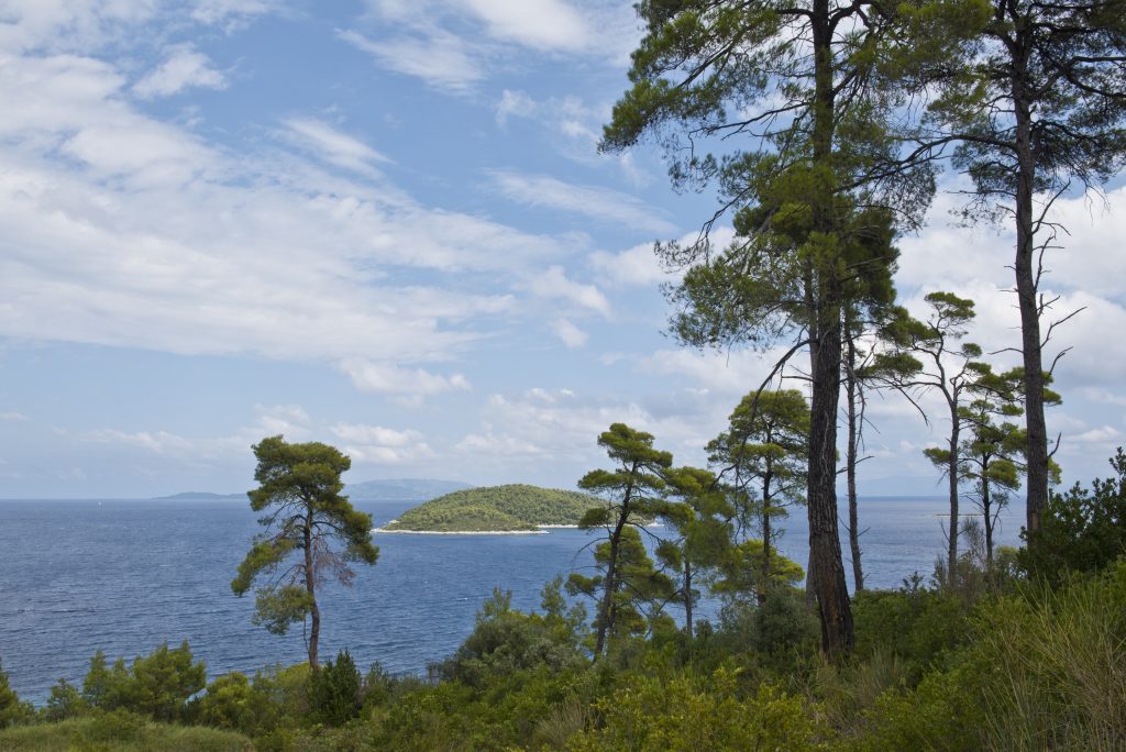 Evia Artemisio