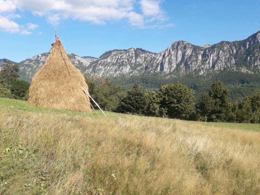Panorama Inelet