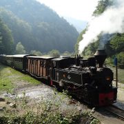 Maramures Mocanita de la Paltinu