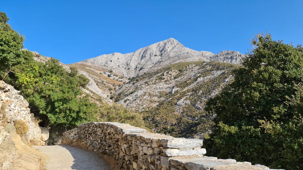 Zas Naxos